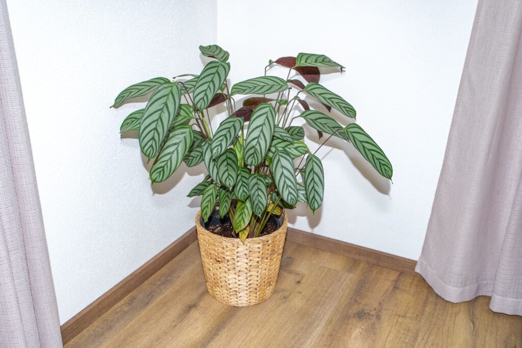 See5_Hinterecker_087