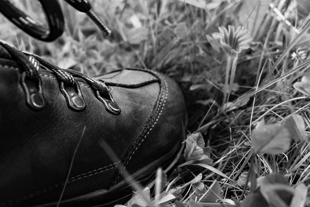 Bergschuh im Gras